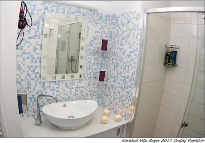 Apartman Vila Bayer 카를로비바리 외부 사진