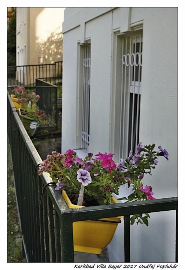 Apartman Vila Bayer 카를로비바리 외부 사진