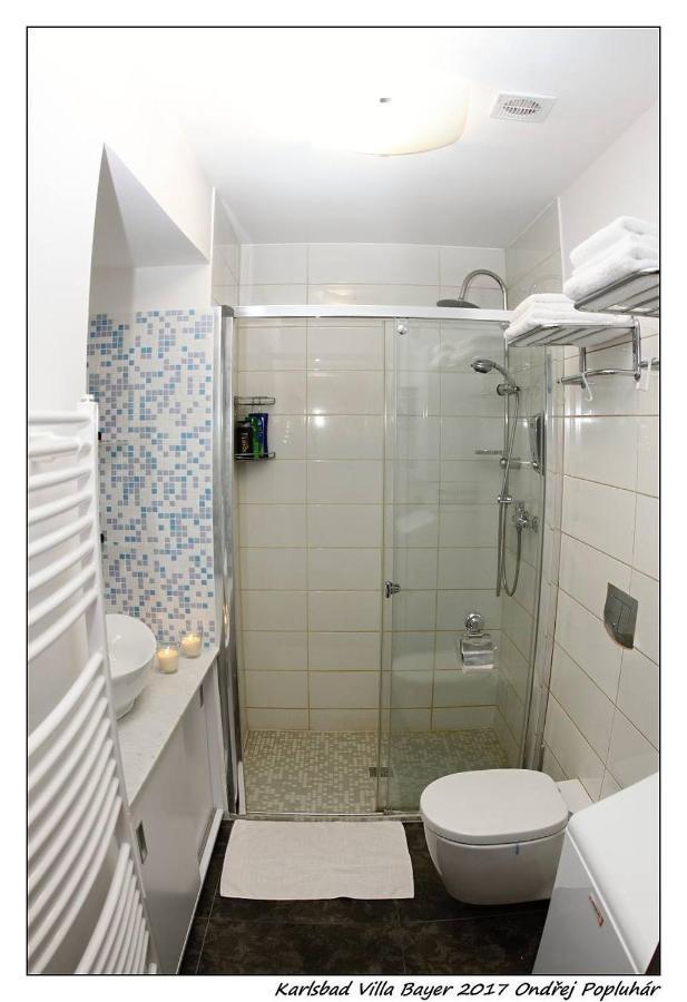 Apartman Vila Bayer 카를로비바리 외부 사진