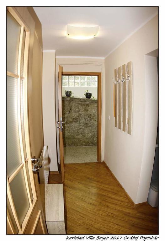 Apartman Vila Bayer 카를로비바리 외부 사진