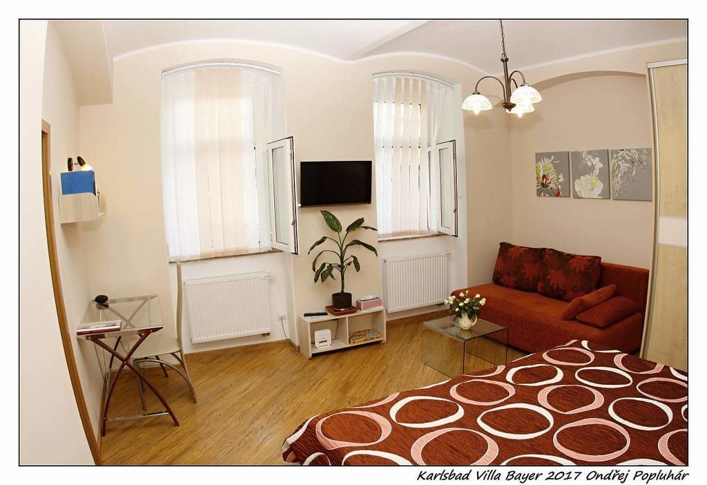 Apartman Vila Bayer 카를로비바리 외부 사진