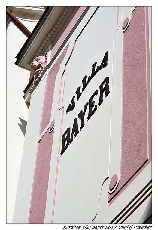Apartman Vila Bayer 카를로비바리 외부 사진