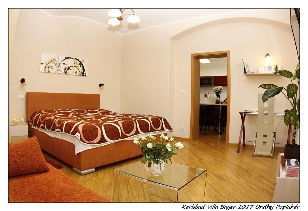 Apartman Vila Bayer 카를로비바리 외부 사진